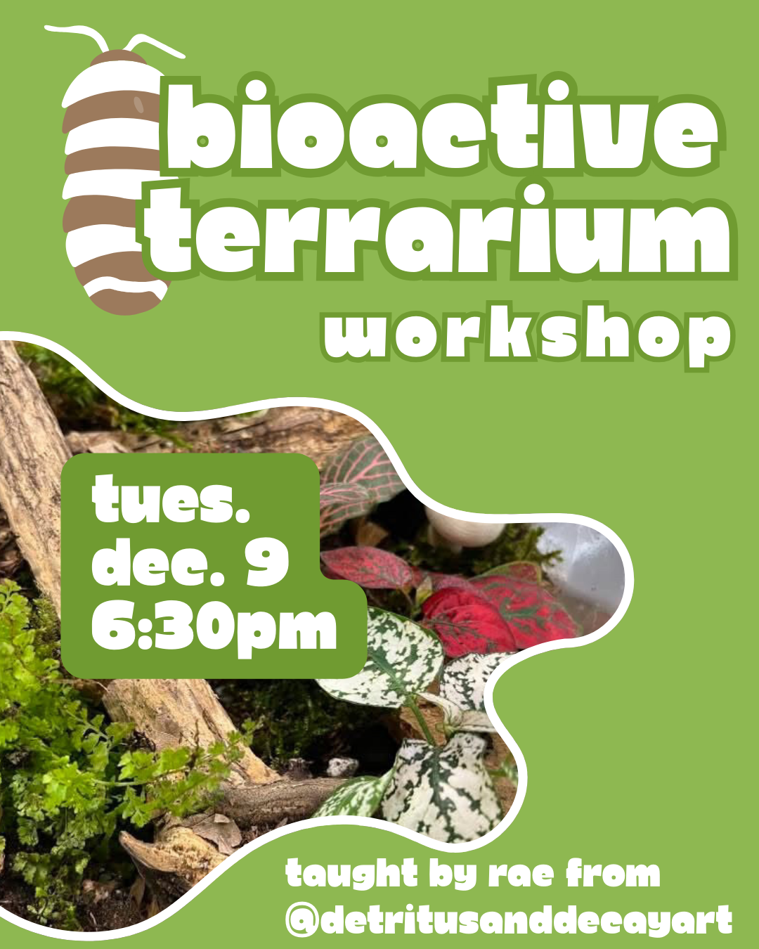 Bioactive Terrarium Workshop flyer